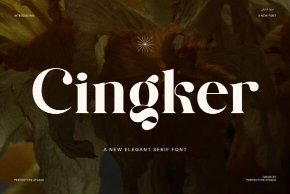 Cingker Font Review: A Modern Serif for Small Business Branding