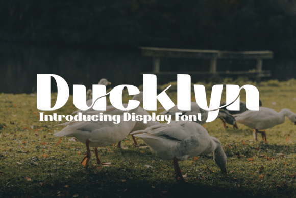Ducklyn: A Designer's Honest Review for Real Projects